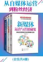 从自媒体运营到粉丝经济（套装共4册）在线阅读