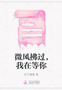 微風拂過，我在等你