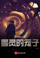 兽灵的笼子在线阅读