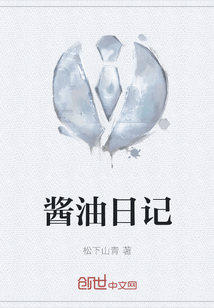 酱油日记