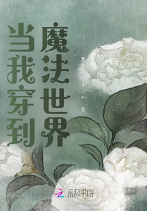 當我穿到魔法世界
