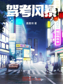 駕考風暴