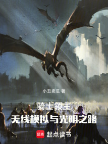 騎士領(lǐng)主:無限模擬與光明之路