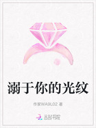 溺于你的光纹在线阅读