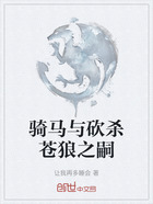骑马与砍杀苍狼之嗣在线阅读