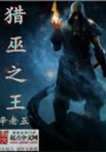 猎巫之王 cover