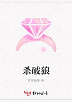 杀破狼在线阅读
