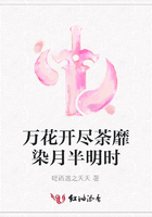 萬花開盡荼靡染月半明時在線閱讀