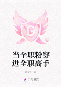 當全職粉穿進全職高手
