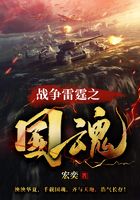 战争雷霆之国魂在线阅读