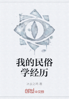 我的民俗学经历在线阅读