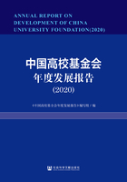 中国高校基金会年度发展报告（2020）