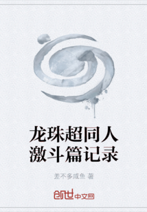 龍珠超同人激斗篇記錄