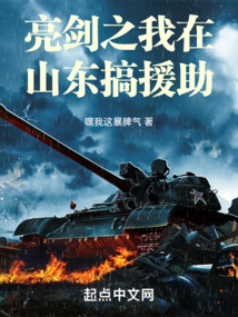 亮劍之我在山東搞援助