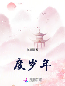 度歲年