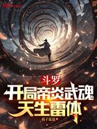 斗罗:开局帝炎武魂,天生雷体