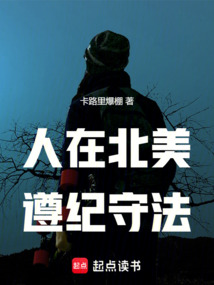 人在北美，遵紀守法