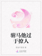 驸马他过于撩人在线阅读