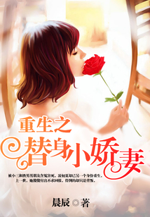 重生之替身小娇妻