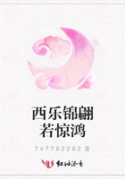西樂錦翩若驚鴻在線閱讀