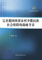 完善我国西部农村少数民族社会保障的战略考量在线阅读