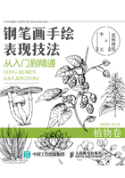 钢笔画手绘表现技法从入门到精通·植物卷