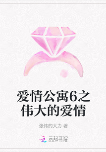 愛情公寓6之偉大的愛情