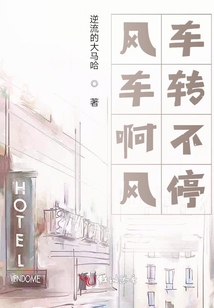 風車啊風車轉不停