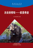 历史的惊叹:欧美奇迹(世界历史百科)在线阅读