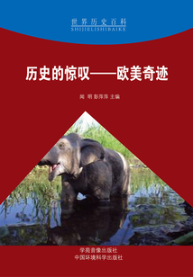 历史的惊叹:欧美奇迹(世界历史百科)