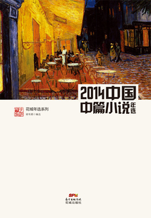 2014中國中篇小說年選
