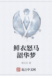 鮮衣怒馬韶華夢