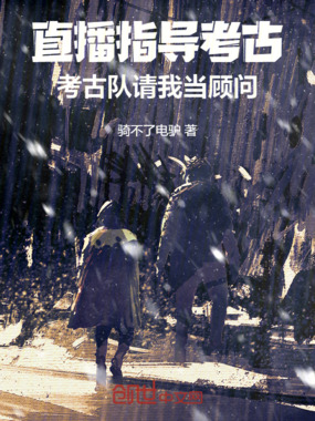 直播指导考古，考古队请我当顾问在线阅读