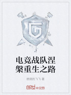 电竞战队涅槃重生之路在线阅读