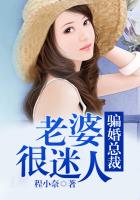 骗婚总裁,老婆很迷人在线阅读