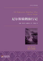 尼尔斯骑鹅旅行记