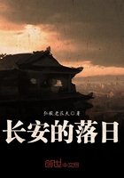長安的落日在線閱讀