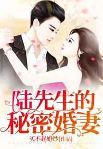 陸先生的秘密婚妻