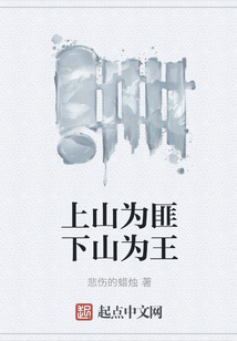 上山為匪下山為王