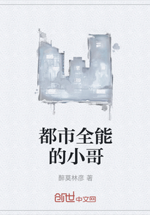 都市全能的小哥
