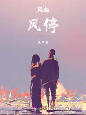 风起,风停在线阅读