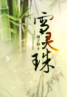 雪靈珠在線閱讀