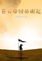 苍云少年录