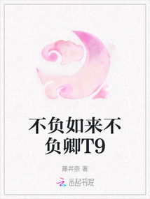 不負如來不負卿T9