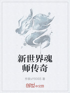 新世界魂师传奇