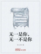 无一是你,无一不是你在线阅读
