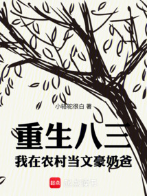 重生八三,我在農村當文豪奶爸