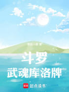 斗罗：武魂库洛牌在线阅读