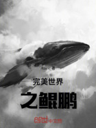 完美世界之鲲鹏在线阅读