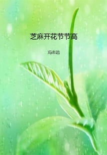 芝麻开花节节高